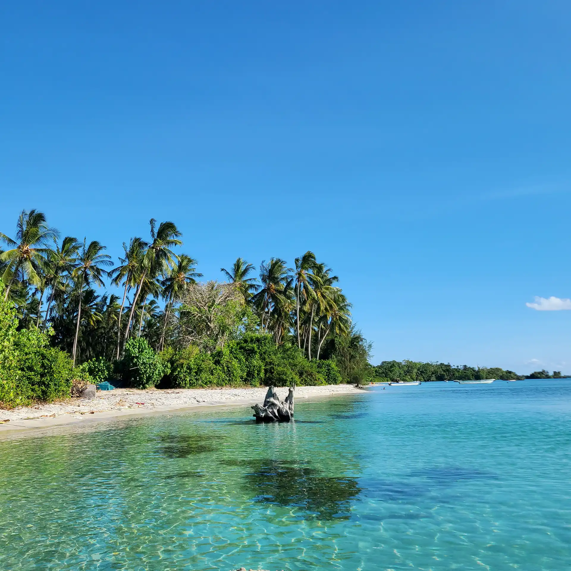 Scenic view of the white sand beach and turquoise waters at the dive resort on Pemba Island