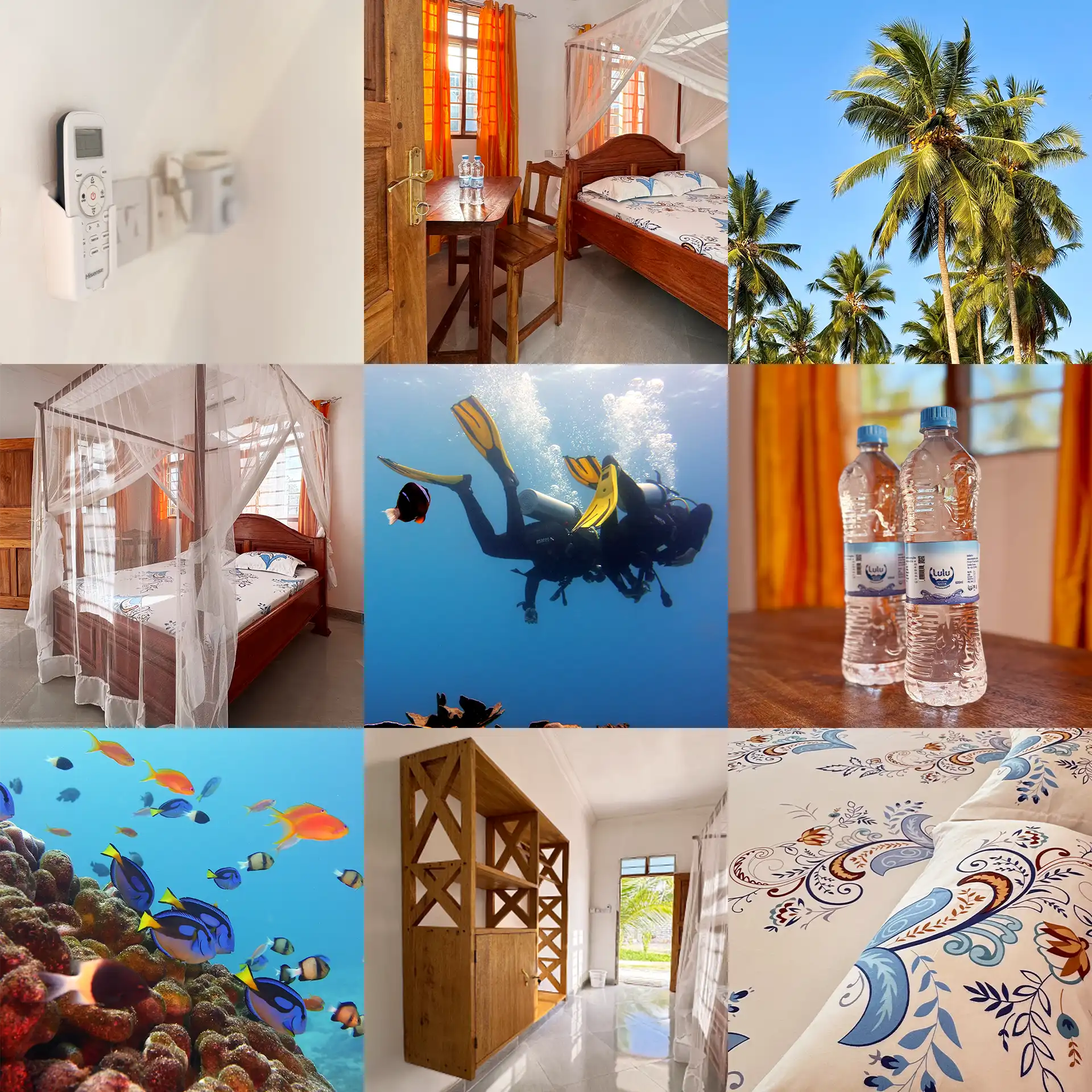 Collage showing comfortable resort rooms, underwater diving scenes with marine life, and tropical views at the Fun Divers Zanzibar dive resort on Pemba Island.
