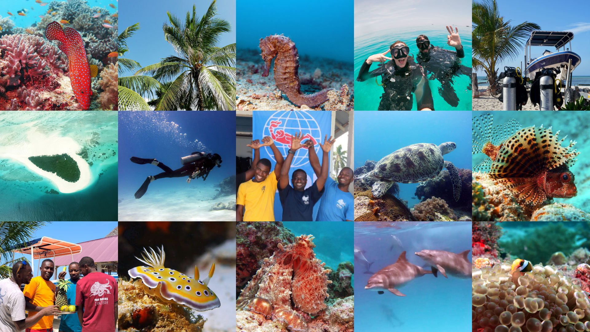 Overview of the top diving deals in the Zanzibar archipelago